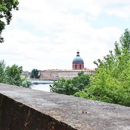 Bord De Garonne Avec Parking Daire *